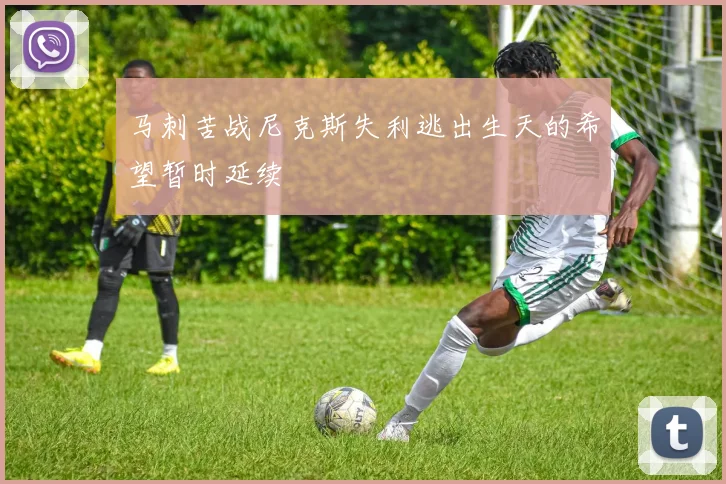 马刺苦战尼克斯失利逃出生天的希望暂时延续
