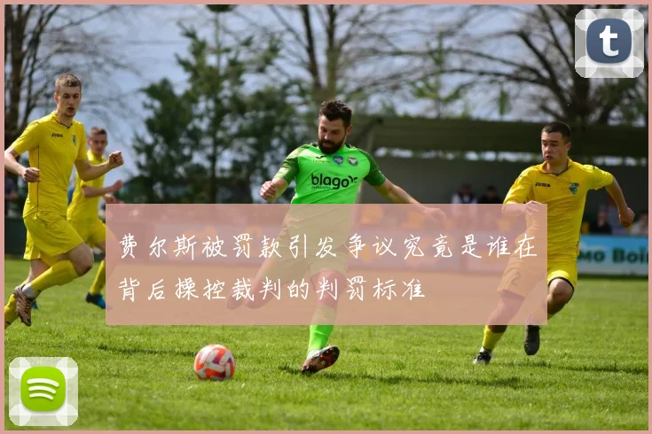 费尔斯被罚款引发争议究竟是谁在背后操控裁判的判罚标准
