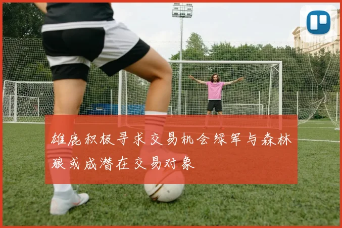 雄鹿积极寻求交易机会绿军与森林狼或成潜在交易对象